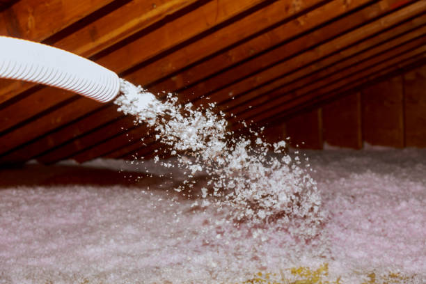 Best Geographic-Specific Insulation Services in Oak Point, TX