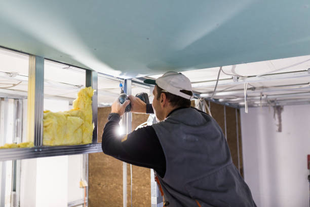 Oak Point, TX Insulation Contractor Pros