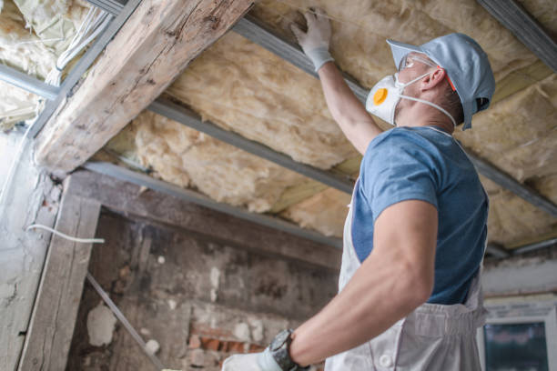Best Blown-in Insulation in Oak Point, TX