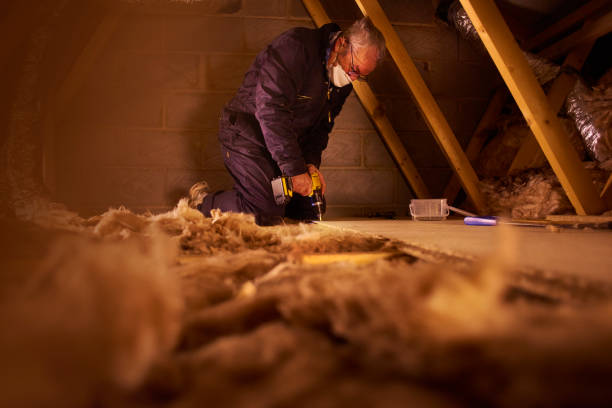 Best Spray Foam Insulation in Oak Point, TX