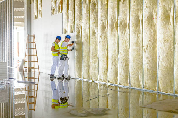 Types of Insulation We Offer in Oak Point, TX